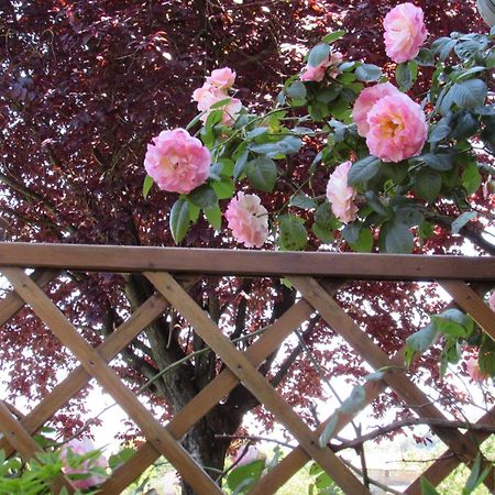 Casa Angolo Delle Rose 오르비에토 외부 사진